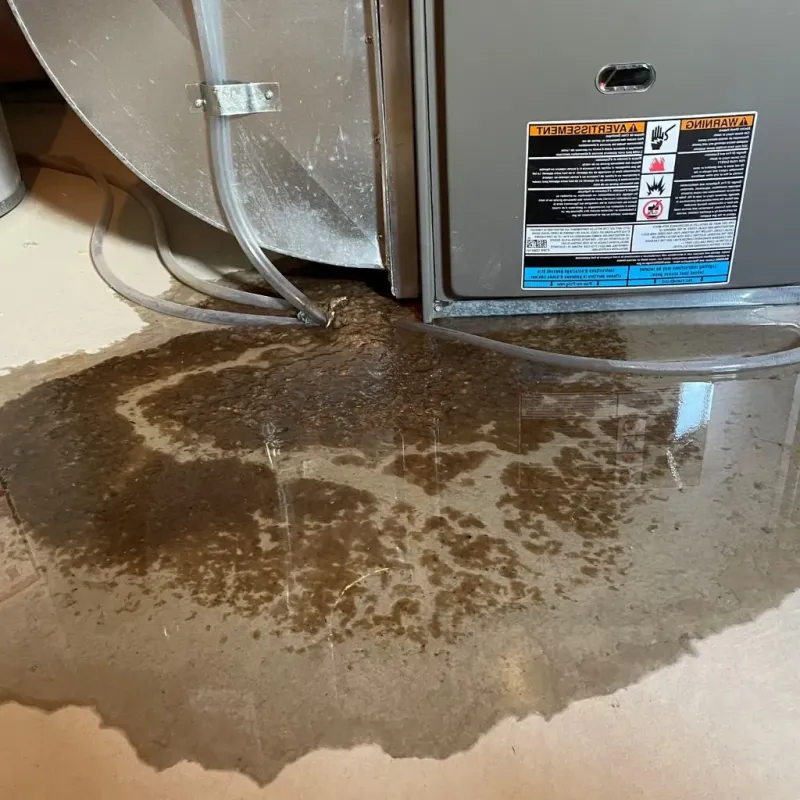 Pipe Burst and Leak Restoration in Forest Park, OK