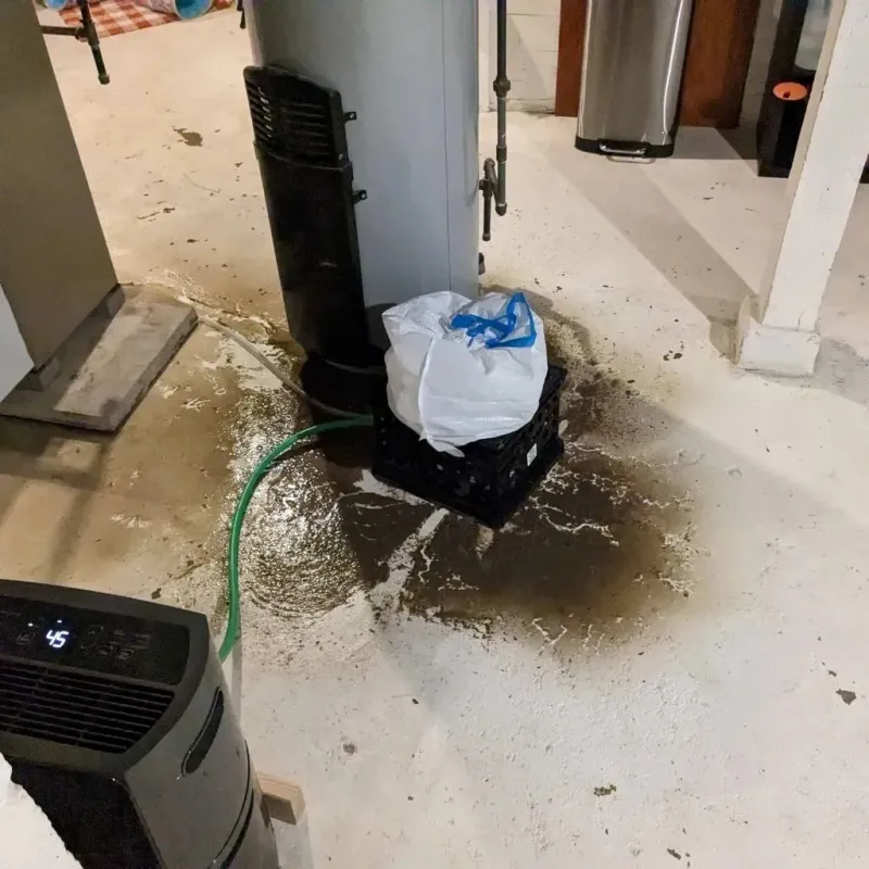 Sewage Backup Cleanup Service in Forest Park, OK